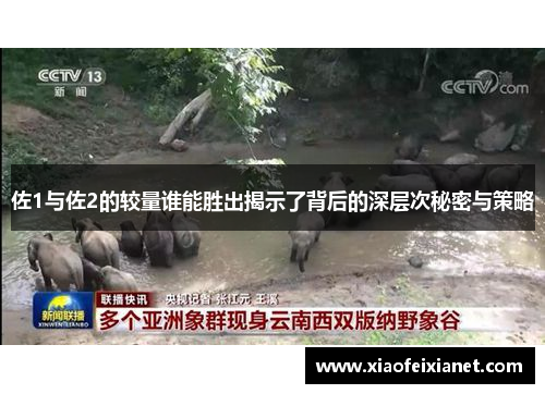 佐1与佐2的较量谁能胜出揭示了背后的深层次秘密与策略