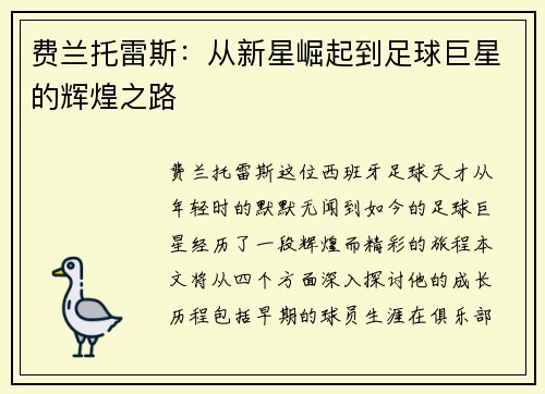 费兰托雷斯：从新星崛起到足球巨星的辉煌之路